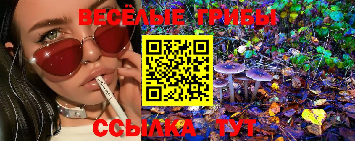 Галлюциногенные грибы Psilocybe Йошкар-Ола