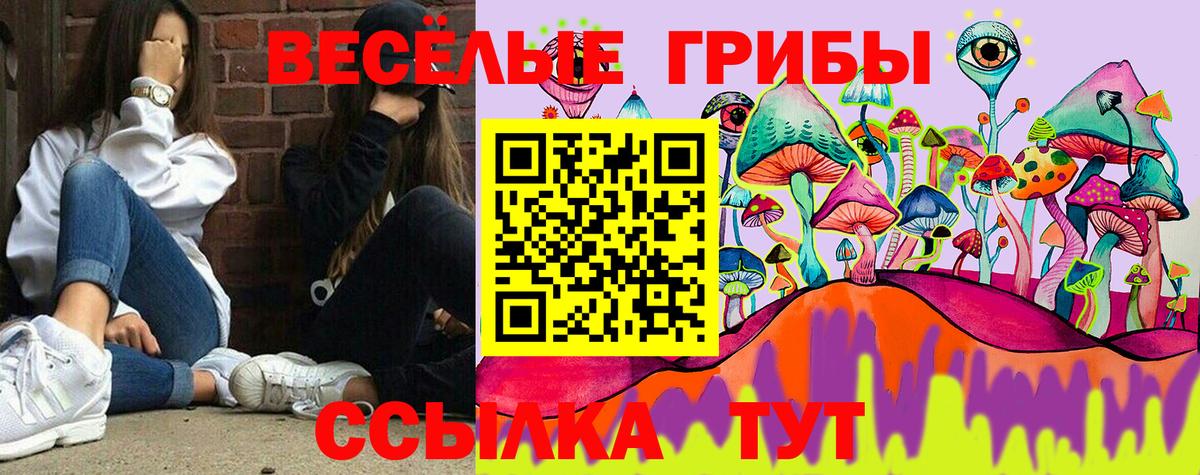 Йошкар-Ола  Псилоцибиновые грибы Psilocybine cubensis  Вход с VPN 